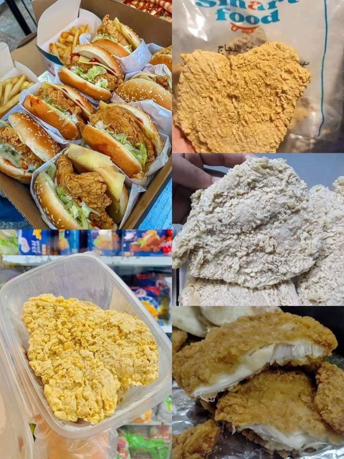 صدور فراشه سمارت